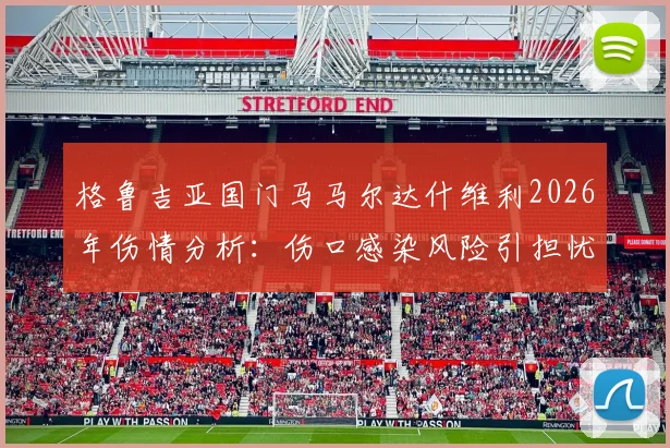 格鲁吉亚国门马马尔达什维利2026年伤情分析:伤口感染风险引担忧,预计伤缺2至3周