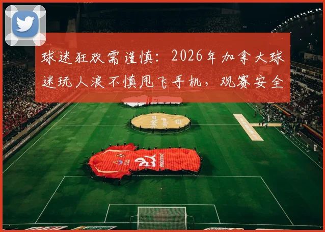 球迷狂欢需谨慎:2026年加拿大球迷玩人浪不慎甩飞手机,观赛安全细节全解析