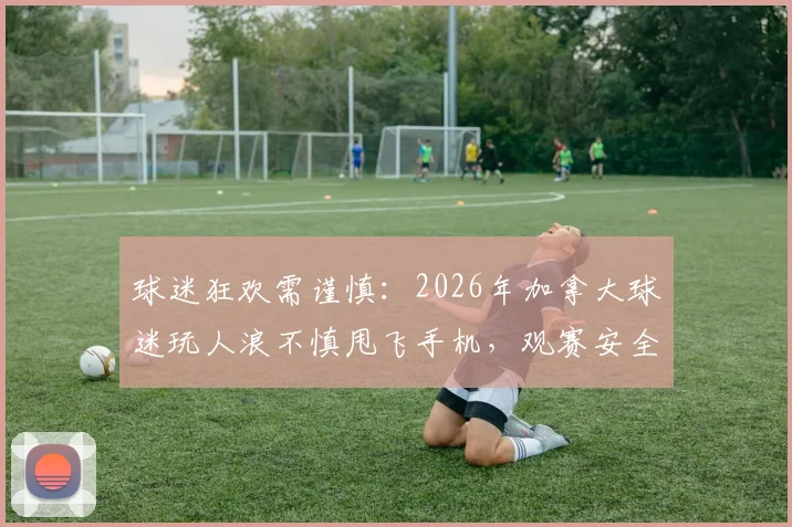 球迷狂欢需谨慎：2026年加拿大球迷玩人浪不慎甩飞手机，观赛安全细节全解析